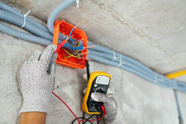 Best Electric Panel Repair  in Croswell, MI