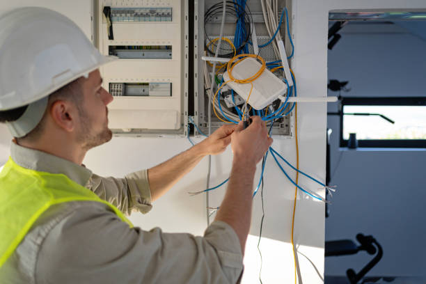 Best Electrical System Inspection  in Croswell, MI